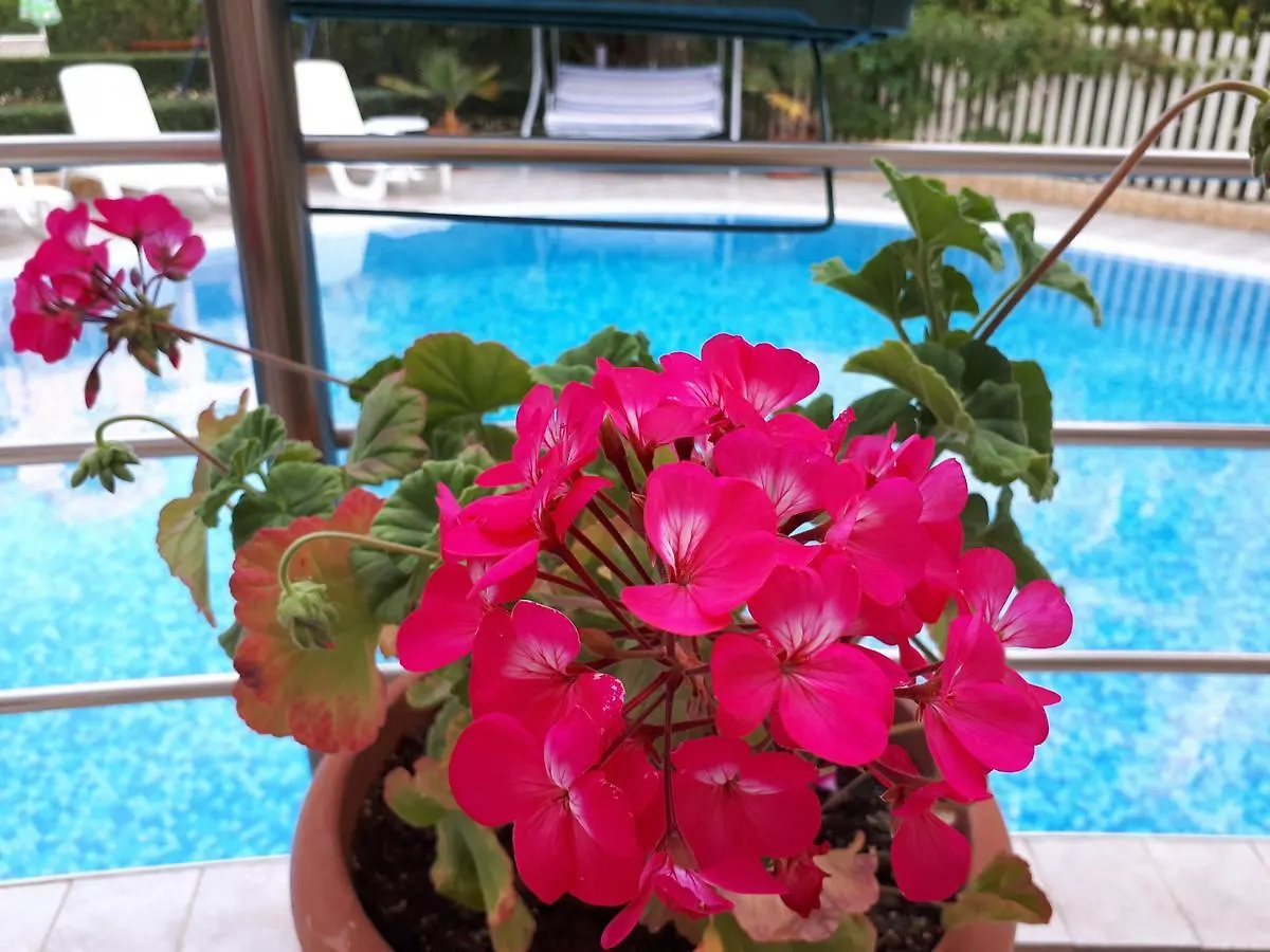Aquaria Holiday Apartments Sunny Beach